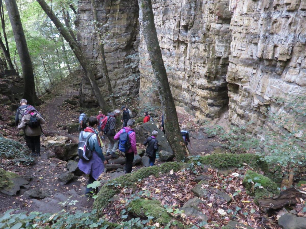 les 40 photos de notre balade à Echternach